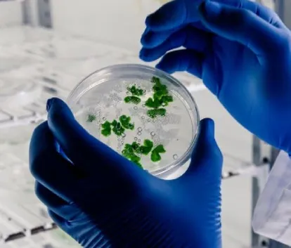 Integrated M.Tech In Biotechnology